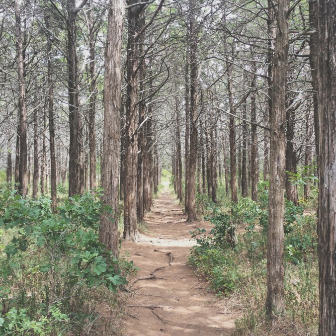 img_20170217_054526_370